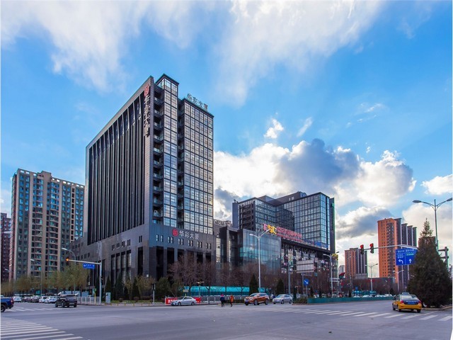 四川金钗石斛哪里有